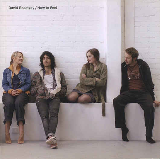 David Rosetzky: How to Feel catalogue