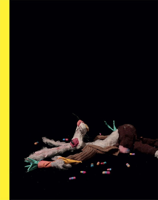 Nathalie Djurberg & Hans Berg: The Secret Garden - limited edition catalogue